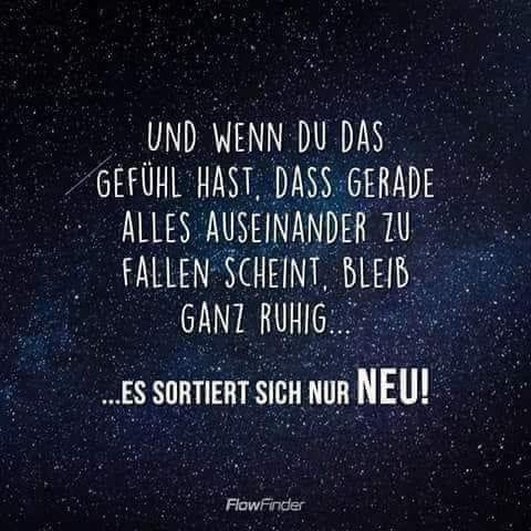 Neu Sortierung