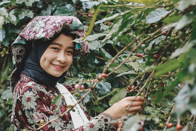 Dara Asri Saiyona di Festival Panen Kopi Gayo 2018.