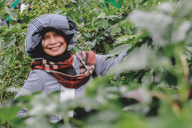 Ada ibu Hairani Aripin, SH Dosen Unsyiah ikut memeriahkan Festival Panen Kopi Gayo 2018. (Foto Breedie/Fauzan My)