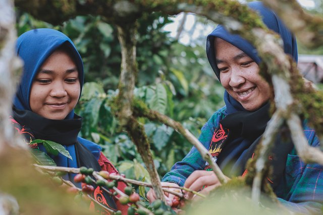 Icca Vonna dan Gebye Rina Rabiyul di Festival Panen Kopi Gayo 2018