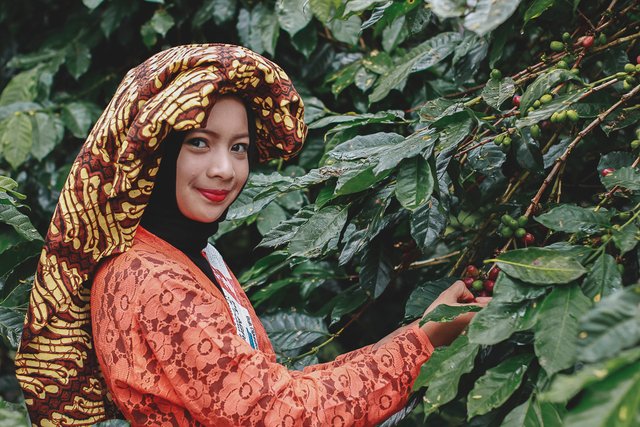 Dengan berbusana tradisional Gayo, Nurul siswa kelas 6 SD Rembele ikut meramaikan Festival Panen Kopi Gayo 2018. (Foto Breedie/Fauzan My)