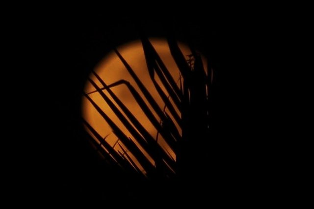 Full Long Nights Moon dari Aceh, 22 Desember 2018. (Foto Breedie/Taufik Rifai)