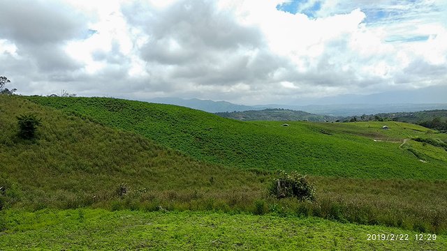 Lanskap pertanian kentang di wilayah Lindung Bulan jalur kaki gunung Burni Telong, Bener Meriah. View kurang menarik karena langitnya berawan. Coba kalau langitnya biru, pucak bukit Samar Kilang paste kelihatan lebih jelas. (Foto Breedie/Fauzan).