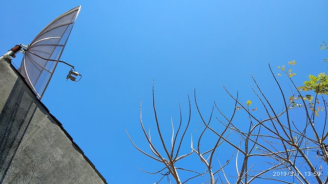 Parabola dengan latar langit biru, (Foto Breedie/Fauzan)