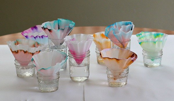 Paper Chromatography Lab for Kids
