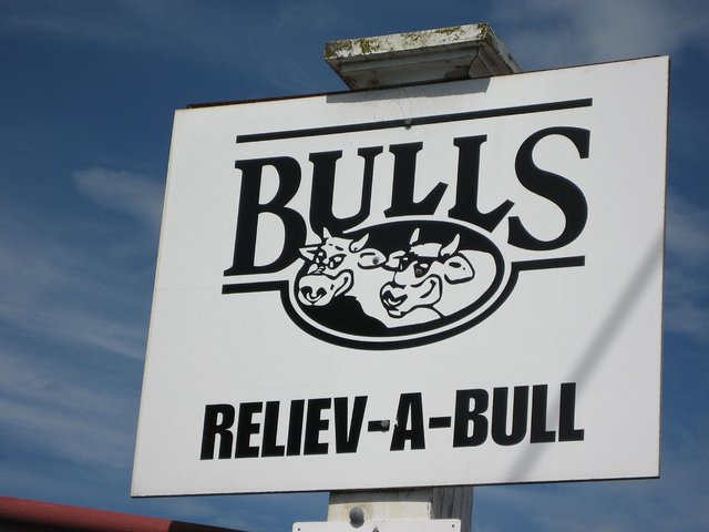 Image result for bulls nz