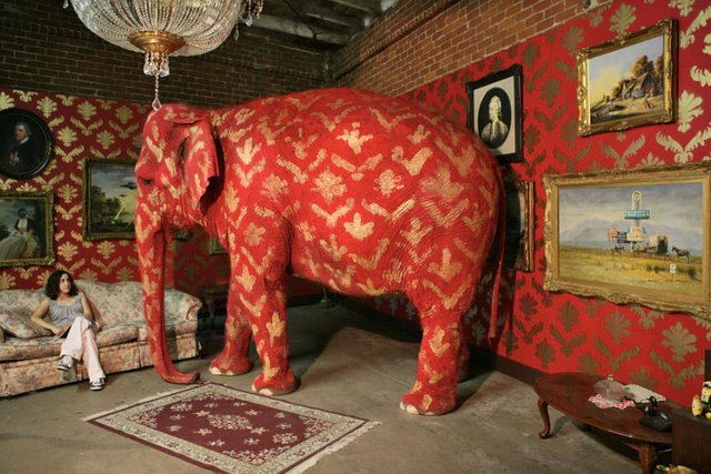 Image result for elephant in the room