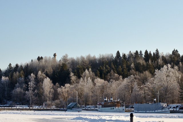 Pier, frozen trees and boats