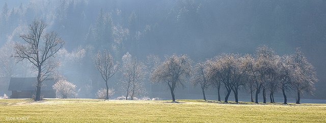 first frost | by Igor Karče