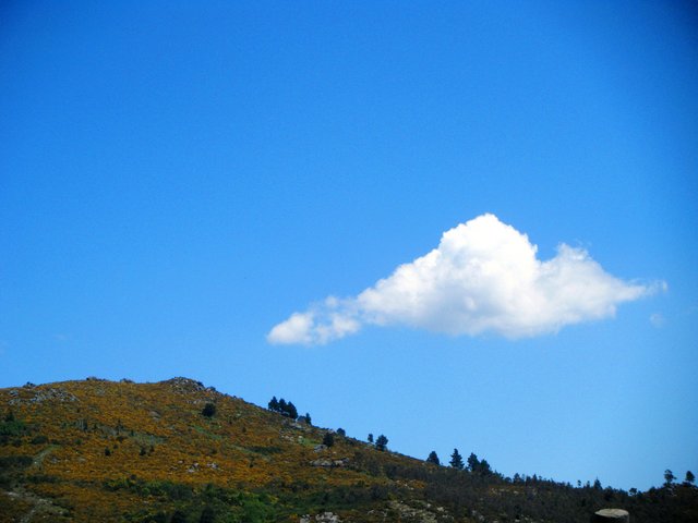 Image of cloud