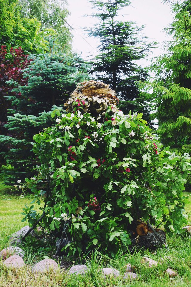 Midsummer feast in Latvia