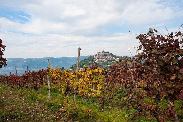 Motovun