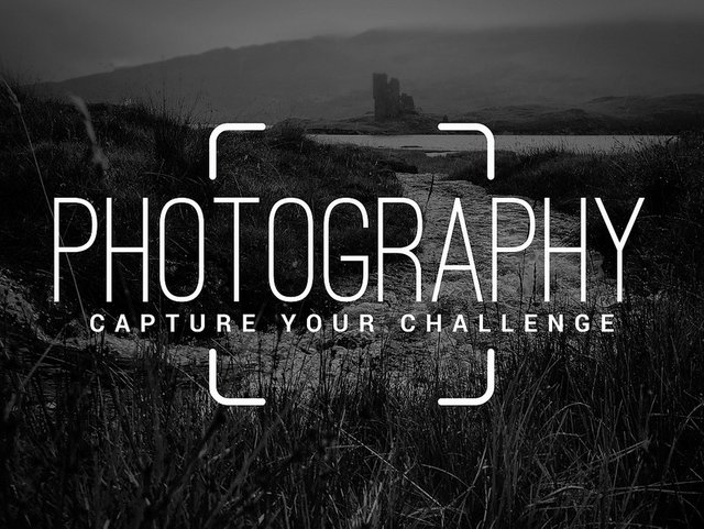 TravelPhotoContest