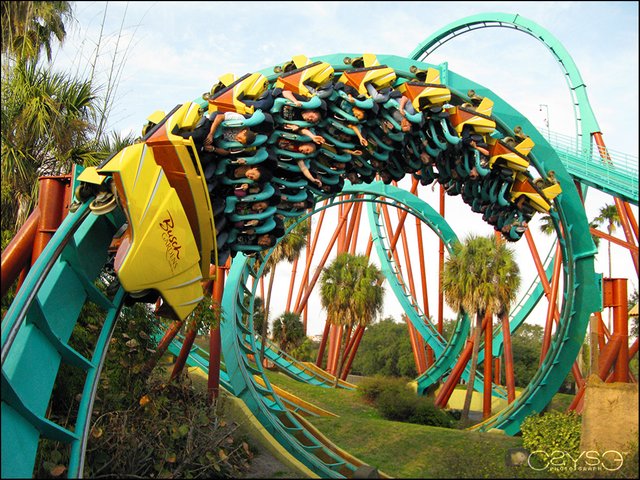 Busch Gardens looks to build tallest ride in park's history