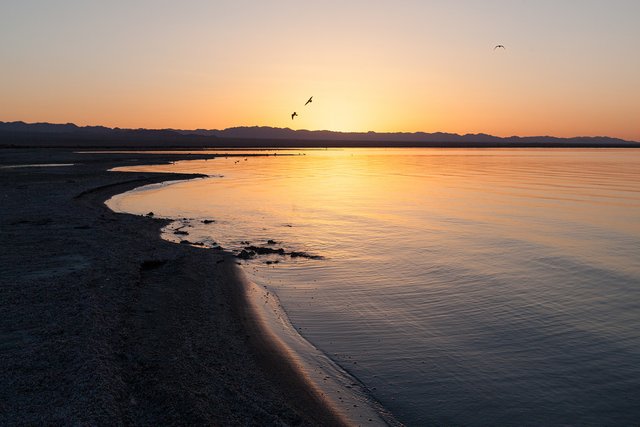 Salton Sea Sunrise