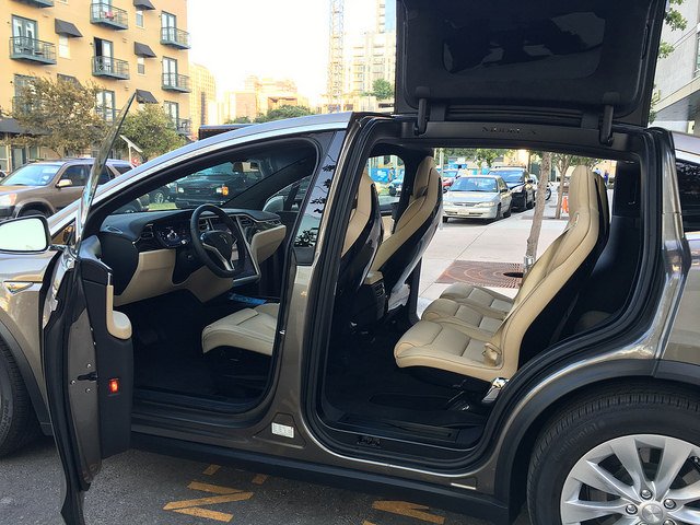 Model X Doors