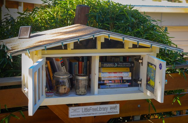 A house shaped Little Free Library