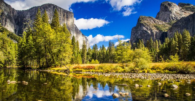 Image of Yosemite
