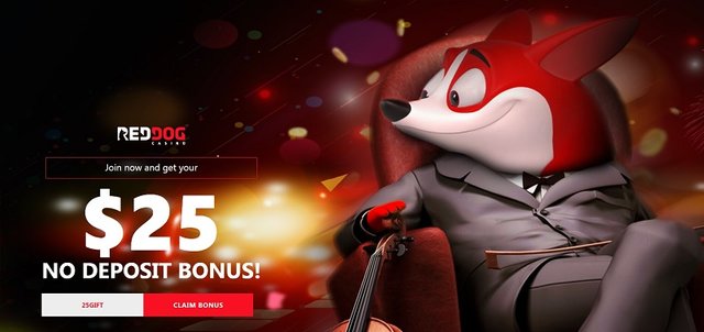 Red Dog Casino Review