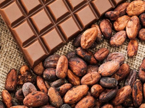 The chocolatier s blog 1 The Venezuelan Cocoa. Steemit
