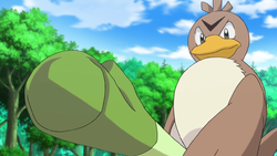 Farfetch'd is worldwide!  Pokémon Let's Go! Amino