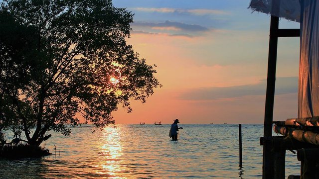 Pantai Kejawanan Cirebon Steemit