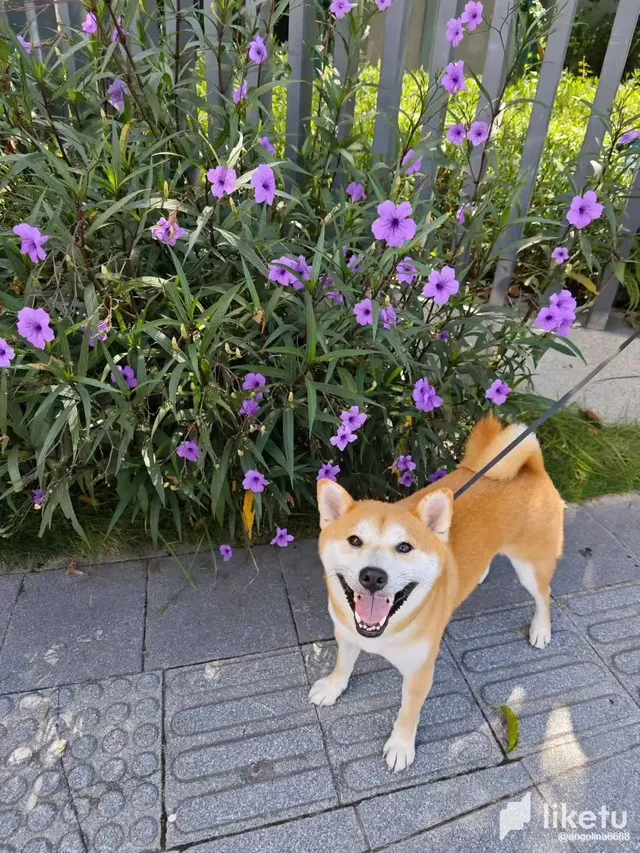 udGdHIcUJTCPOV00__2025-08-28_104323_346.webp