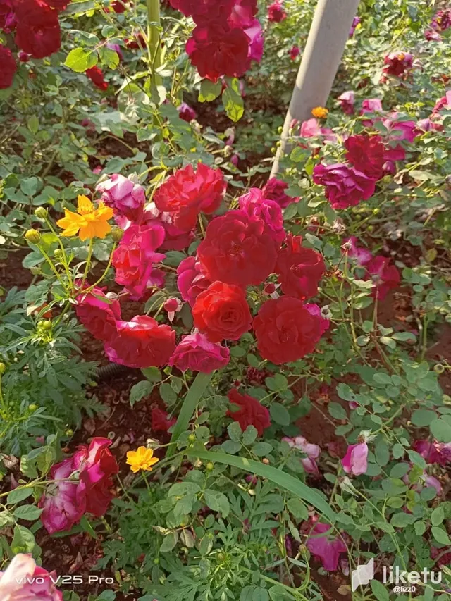 clpe21ji202c0eqsz090keogq_IMG-20231125-WA0021.webp