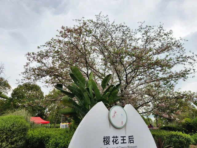 qUAa0oPbmrili40X_bb2f3ac0d951fd0c86e089201929e25b.png