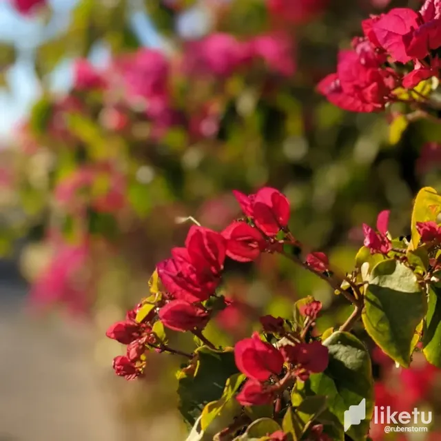 cll3gqtoh00898cszfpr0bx6s_IMG_20230322_182310_244.webp