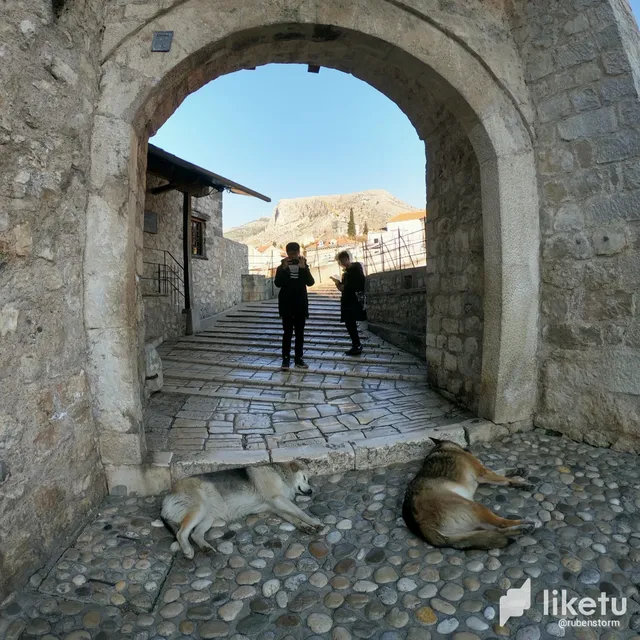 clm14k6n900k68asz24x8fs29_GOPR4769_1579290749374_high.webp