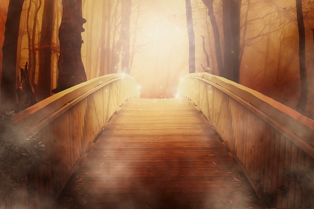 Bridge, Golden, Light, Mystical, Dramatic, Woods