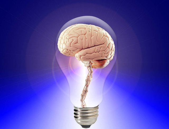 Cerebro, Creo Que, Humana, Idea, Inteligencia, Mente