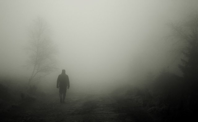 Walkers, Autumn, Fog, Man, Human, Mood, Atmosphere