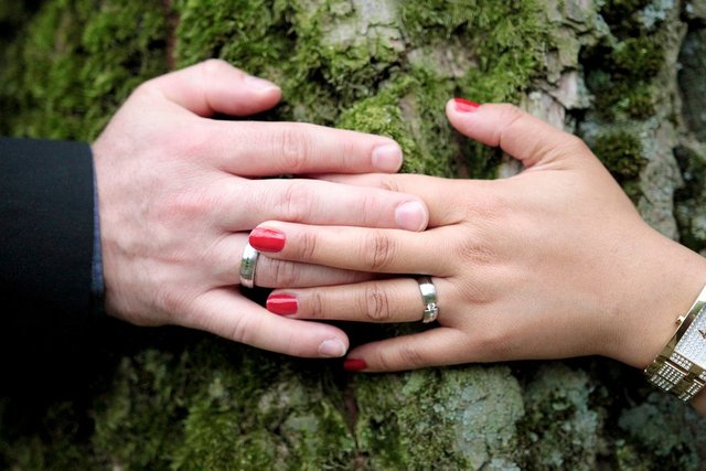 Wedding, Wedding Ring, Love, Marriage, Church, Tree