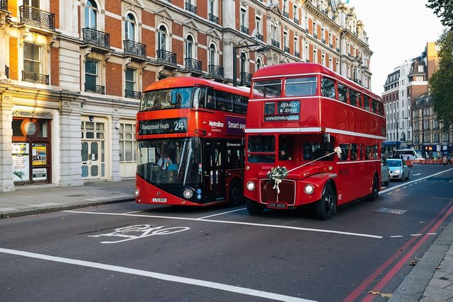 Buses on the road