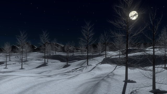 Snow, Night, Moon, Cold, Winter, Trees, Landscape