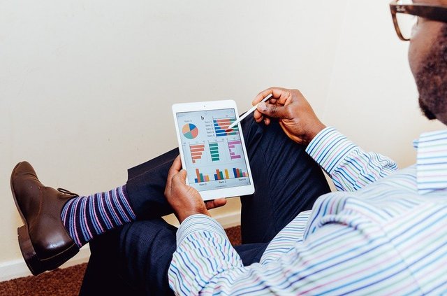 Person, Man, Male, Business, Tablet, Computer, Charts