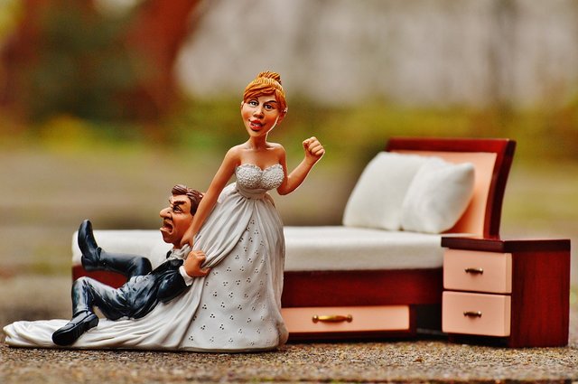 Wedding Night, Bride, Groom, To Force, Panic, Figure