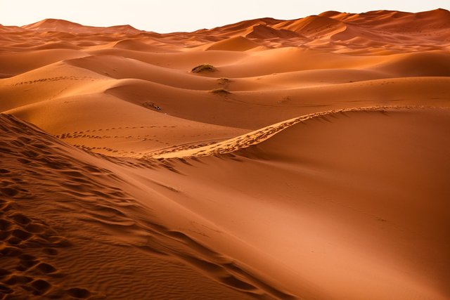 Pixabay: A Desert