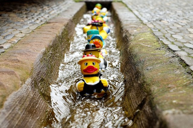 Rubber Duck, Bath Duck, Toys, Costume, Fun Bathing