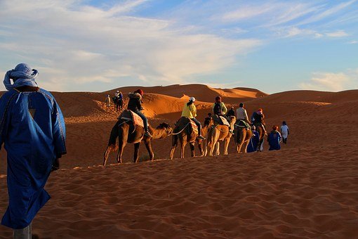 Viaje, Aventura, Caravana De Camellos