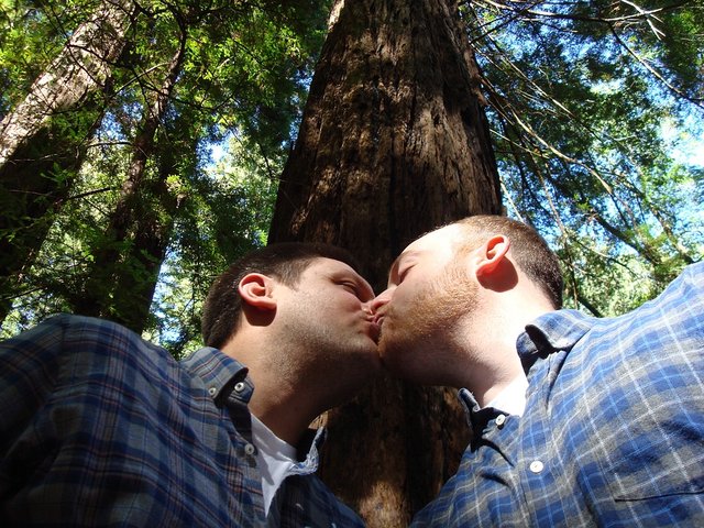 gay escorts