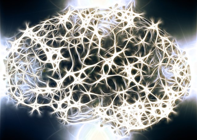 Gehirn Nervennetz