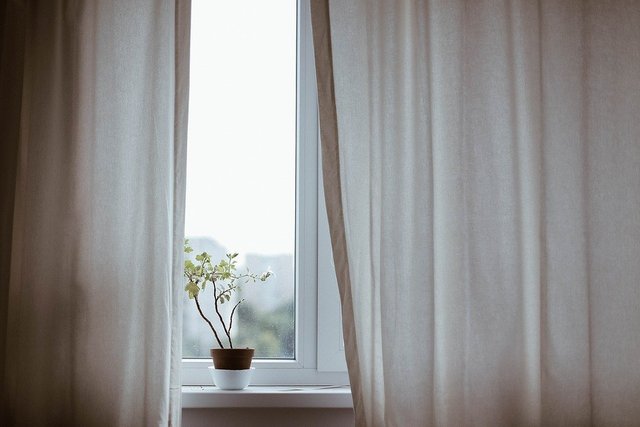 Curtains, Decoration, Indoors, Plant, Pot Plant, Window