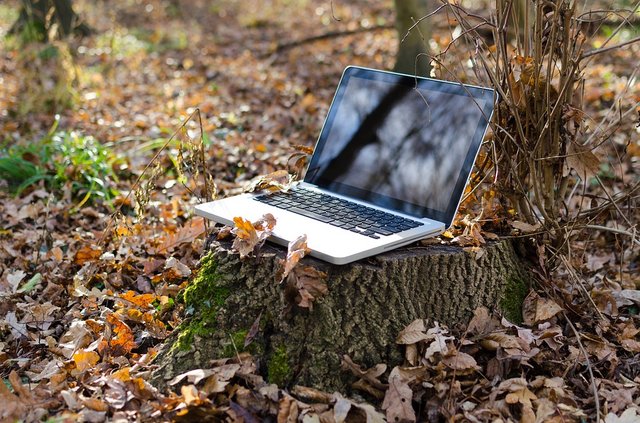 Outdoor Bloging