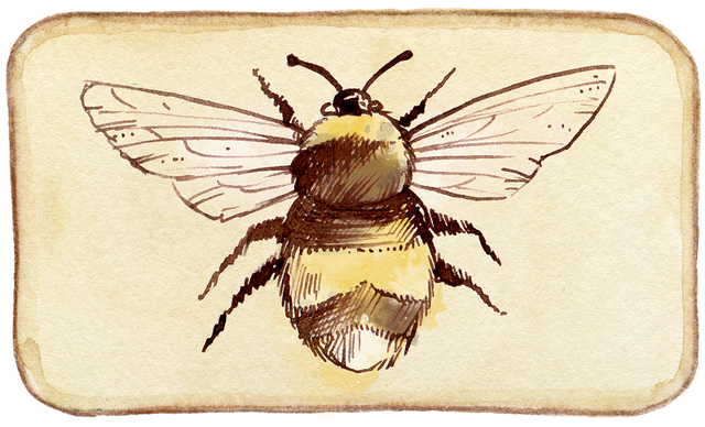 bee