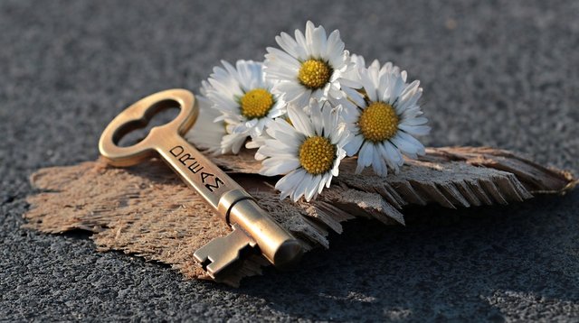 Key, Heart, Daisy, Love, Wood, Valentine'S Day, Symbol