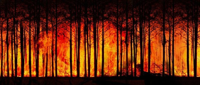 climate change