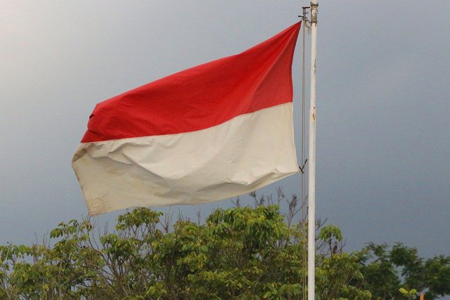 Indonesian flag